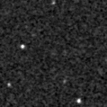 2022acof_image