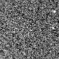 2022acsi_image