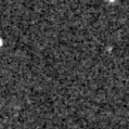 2022adgj_image