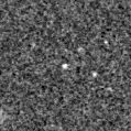 2022adnw_image