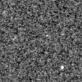 2022adpv_image