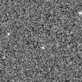 2022adzp_image