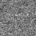 2022aov_image