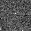 2022ash_image