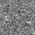 2022awr_image