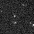 2022bat_image