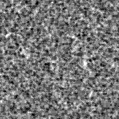 2022bgh_image