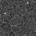 2022bin_image