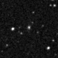2022bor_image