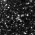 2022bqw_image