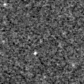 2022bsw_image
