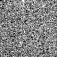 2022bup_image