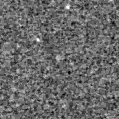 2022bux_image