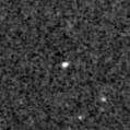 2022cot_image
