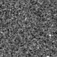 2022cpk_image