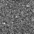 2022crn_image