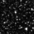 2022csf_image