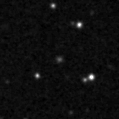 2022cub_image