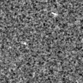 2022dan_image