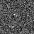 2022dep_image