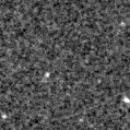 2022dhs_image
