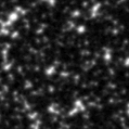 2022dn_image