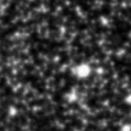 2022dzm_image