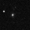 2022eel_image