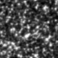 2022ehb_image