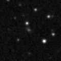 2022elk_image
