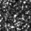 2022esb_image