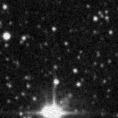 2022ewt_image