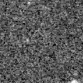 2022fao_image