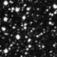 2022fdf_image