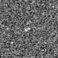 2022feg_image