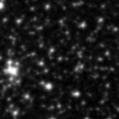 2022ffl_image