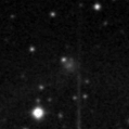 2022ffw_image