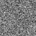 2022ffy_image