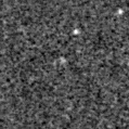 2022fjq_image