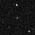 2022fle_image