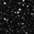 2022flt_image