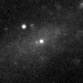 2022fmn_image