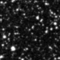 2022fms_image