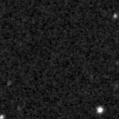 2022foa_image