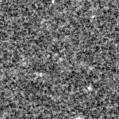 2022foo_image