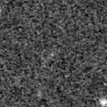 2022fxm_image