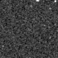 2022fzh_image