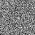 2022ghu_image