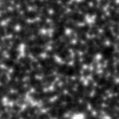 2022gje_image