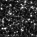 2022gjw_image